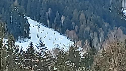 a snow covered ski slope on a mountain with trees at Veghouse - Penzion u pláže in Horní Bečva