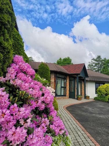 a house with pink flowers in front of it at Cyprianówka in Warszowice