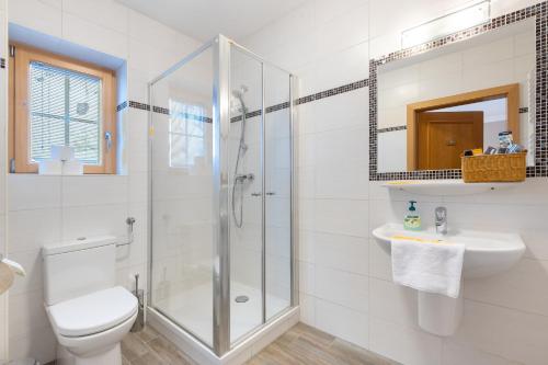 a bathroom with a shower and a toilet and a sink at Apparthaus Sonnenberg in Haus im Ennstal