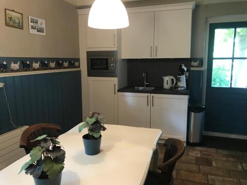a kitchen with a table with two potted plants on it at B&B. Het Hunebed Rolde in Rolde