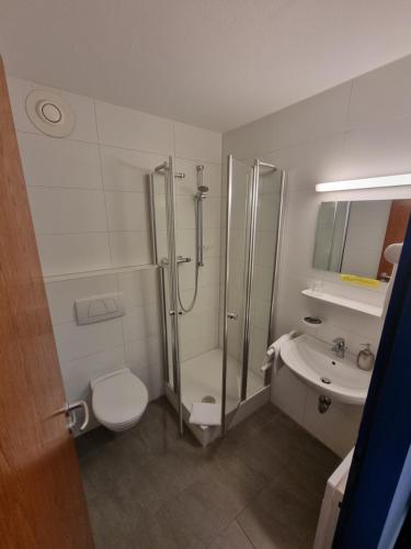 Vonios kambarys apgyvendinimo įstaigoje InTeck Hotel