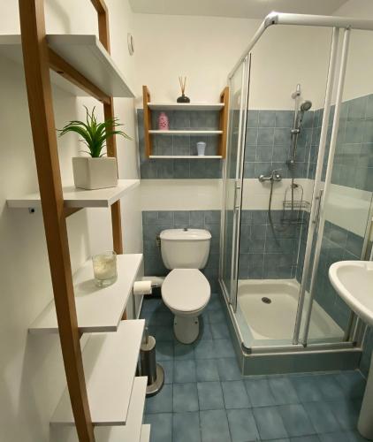 La salle de bains est pourvue d'une douche, de toilettes et d'un lavabo. dans l'établissement La Siesta, à Mandelieu-la-Napoule