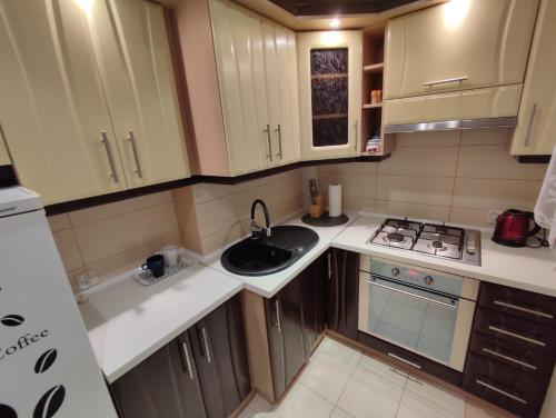 uma pequena cozinha com um lavatório e um fogão em Apartament Kwatera Oficera em Sandomierz
