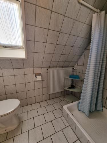 a bathroom with a toilet and a shower curtain at Ahoi Seeblick in Büsum