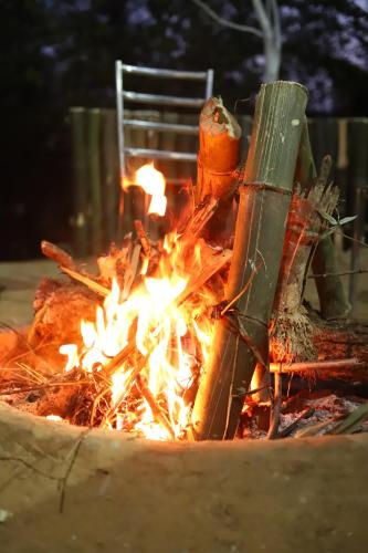Φωτογραφία από το άλμπουμ του Omya Forest Camps σε Bir