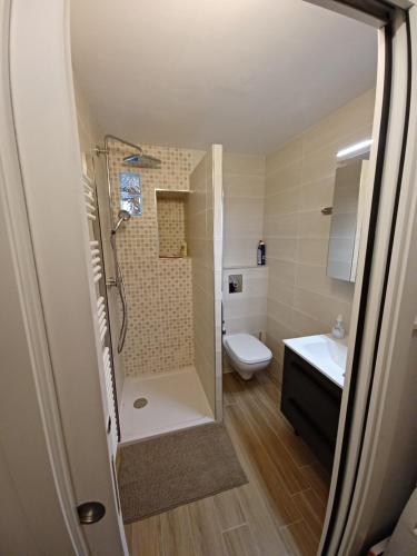 a bathroom with a shower and a toilet and a sink at Studio cosy et chaleureux in Valloire
