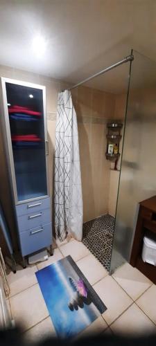 une salle de bain avec une douche avec un lavabo et un miroir dans l'établissement Oasis d'Alsace, à Valff