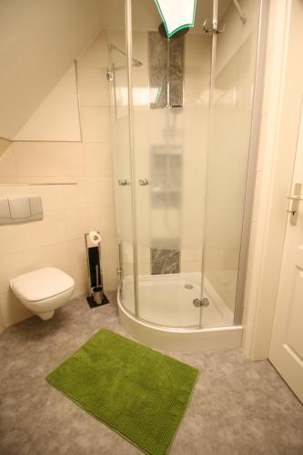 a bathroom with a shower and a toilet and a green rug at Ferienwohnung Kurort Jonsdorf in Kurort Jonsdorf