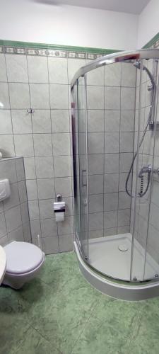 a bathroom with a shower and a toilet and a sink at Motel Port 2000 in Mostki