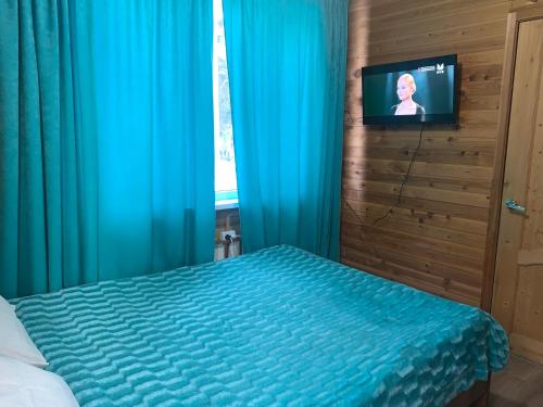 アルヒズにあるAquamarine Mini Hotelのベッドルーム(青いカーテン、テレビ付)