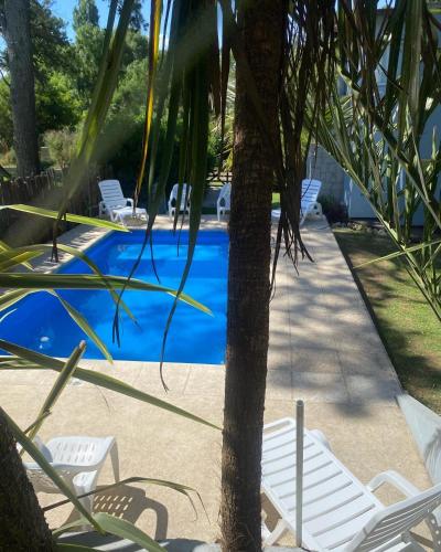 a pool with white chairs and a palm tree at Lucero de las Sierras in Sierra de los Padres