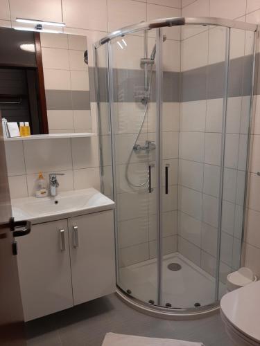 Koupelna v ubytování Gostilna Žolnir