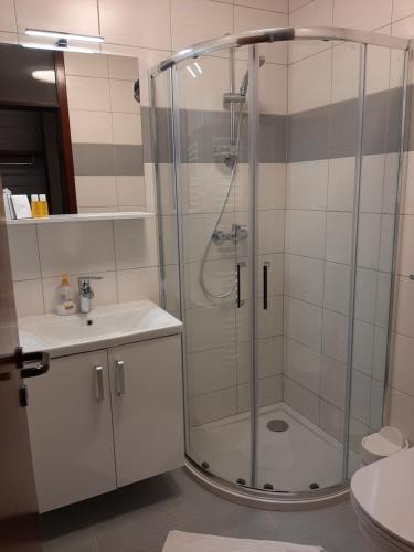 y baño con ducha y lavamanos. en Gostilna Žolnir, en Kostanjevica na Krki