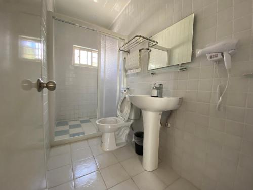 Baño blanco con lavabo y aseo en 太麻里金崙線織屋背包房Line Weaving House B&B en Taimali