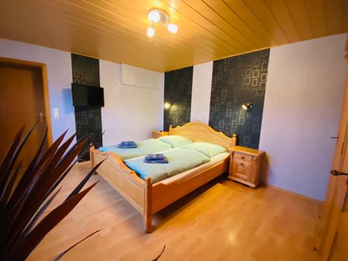 Schleusingen的住宿－Ferienwohnung An den Erlewiesen, 3SZ, 85qm, Kamin，一间卧室配有一张床和一台电视