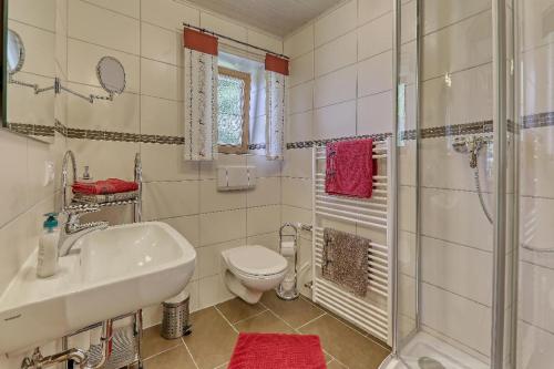 a bathroom with a toilet and a sink and a shower at Wofahanslhof in Eschlkam