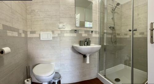 a bathroom with a toilet and a sink and a shower at Apartmán Galerie in Děčín