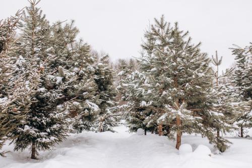 Dolyna Mykolaya en invierno