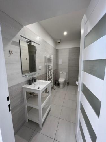 a white bathroom with a sink and a toilet at Apartmán Galerie in Děčín
