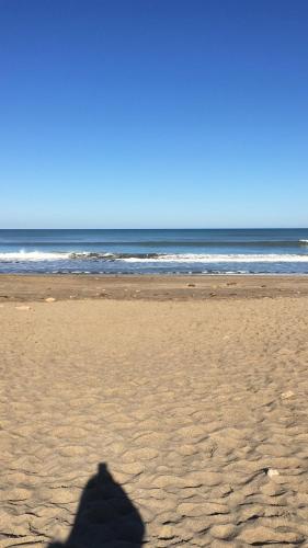 india del mar – Photos 3