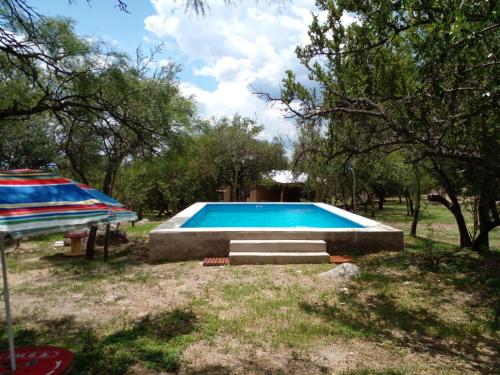 a swimming pool in a yard with a umbrella and trees at La Roja y Barro tal vez in Los Molles