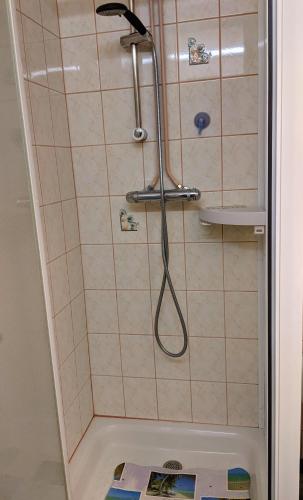 - une salle de bains pourvue d'une douche avec un livre à l'étage dans l'établissement Studio Gil La Bresse Hohneck, à La Bresse