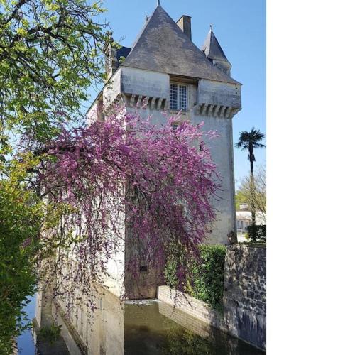 Zahrada ubytování Chateau de Mornay