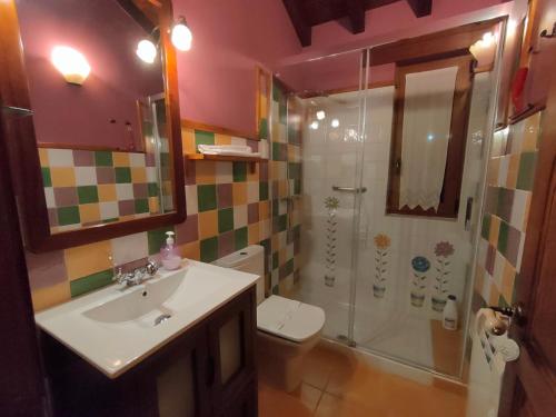 a bathroom with a shower and a sink and a toilet at El MIRADOR DE TONO , Casa entera in Vioño