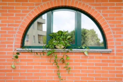 a window on a brick wall with a potted plant at Casa Betania in Pisa