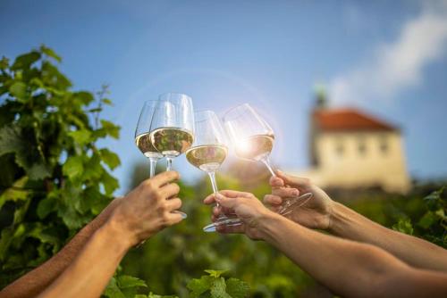 a group of people holding up wine glasses at Dům V Podzámčí in Mělník