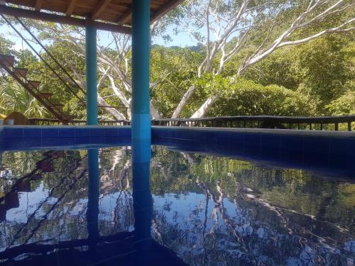 a pool of water with trees in the background at La Perla Tayrona in El Zaino