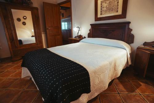 a bedroom with a large bed and a mirror at Apartamentos Rurales Los Galpones in Coaña