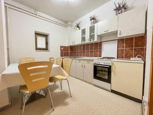 Apartman Pahuljicaにあるキッチンまたは簡易キッチン
