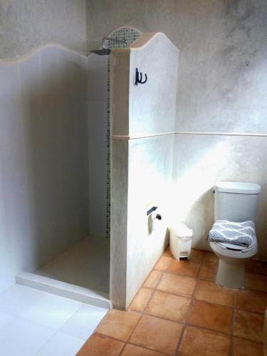 a bathroom with a shower with a toilet in it at Catrina & Diego in Mérida