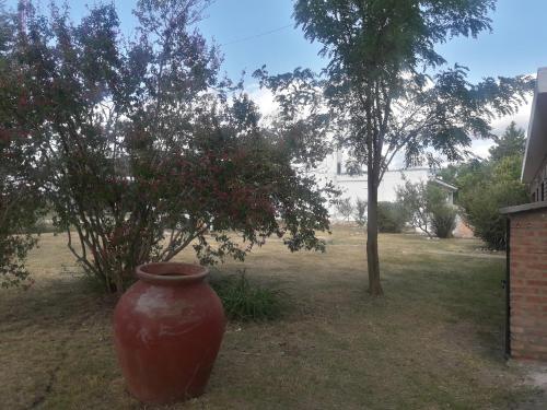 La Maca – Photos 2