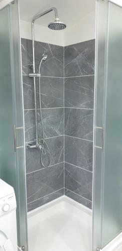 La salle de bains est pourvue d'une douche avec une porte en verre. dans l'établissement Apartment Pelicaric Sali Dugi otok, à Sali
