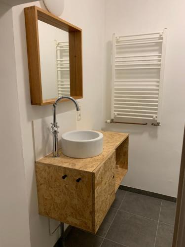 La salle de bains est pourvue d'un lavabo et d'un miroir. dans l'établissement Le Gîte de Zao avec billard, à Philippeville