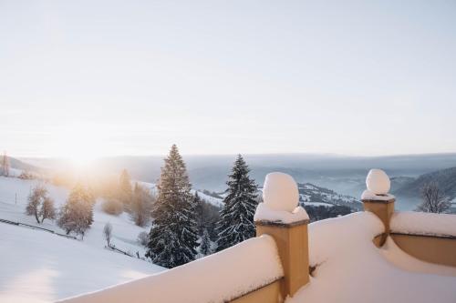 a winter view from the top of a mountain with snow at Дбайлива Ципа in Mizhhirʼʼya