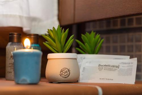 a candle and a cup with a potted plant on a table at B&B Continanza in Castelsaraceno