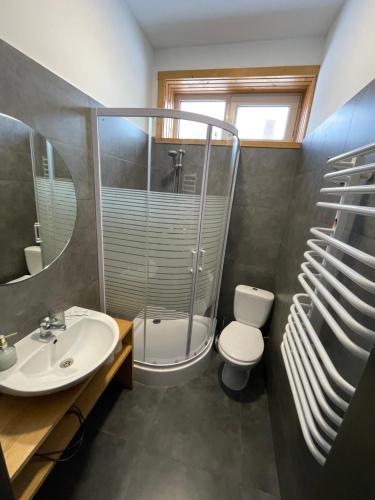 a bathroom with a toilet and a sink at Girske Povitria 2 in Yaremche