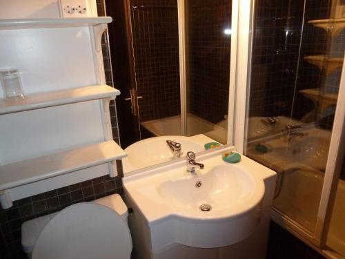 ein Bad mit einem Waschbecken, einem WC und einer Dusche in der Unterkunft Ferienwohnung Murschetg in Laax