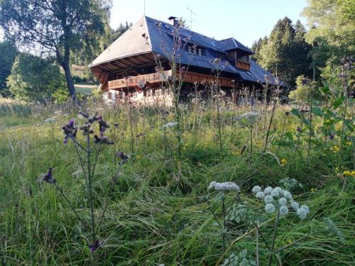 a building with a blue roof in a field of grass at Der Schmidthof in Todtmoos