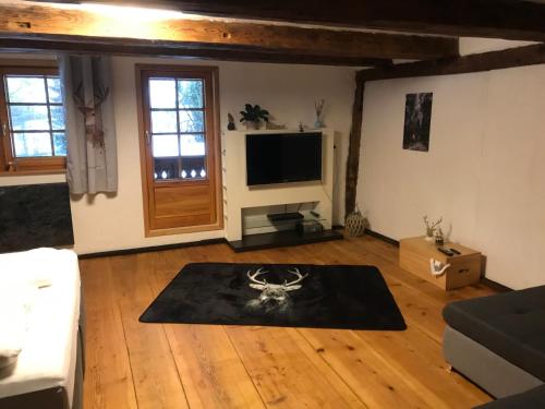 a living room with a couch and a television at Der Schmidthof in Todtmoos