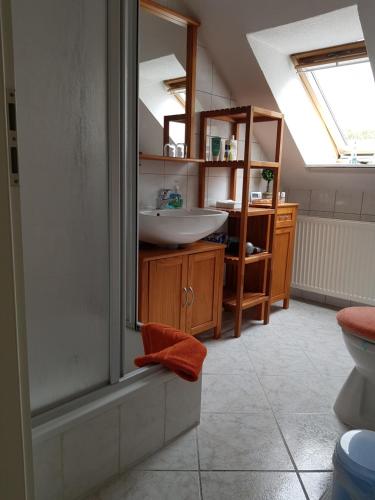 een badkamer met een wastafel en een douche bij Heideperle3a in Mönchhagen