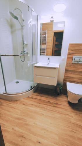 ein Bad mit einer Dusche, einem Waschbecken und einem WC in der Unterkunft Apartament 10 in Płock