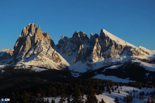 a mountain range with snow and trees in the foreground at Hotel Villa Emilia in Ortisei