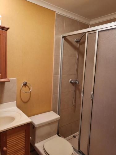 a bathroom with a shower and a toilet and a sink at Casas Isla Negra in El Quisco