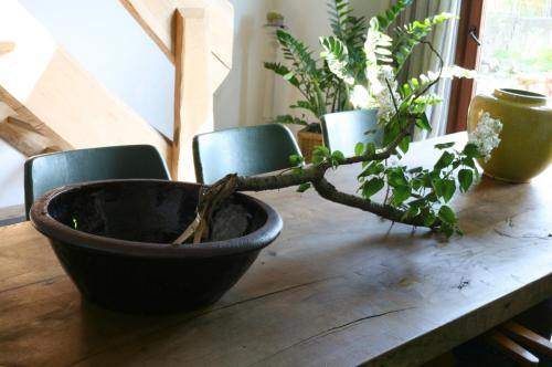 a wooden table with a plant in a pot on it at Le Menil in Manhay