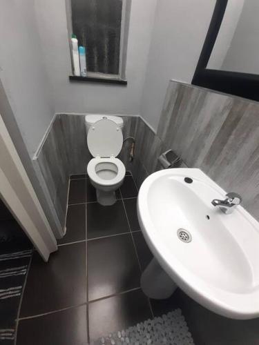 a bathroom with a sink and a toilet at The Private and Cosy Guest House 3 in Germiston