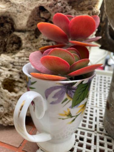 a white cup with flowers on it sitting on a table at 叁樓民宿 in Taitung City